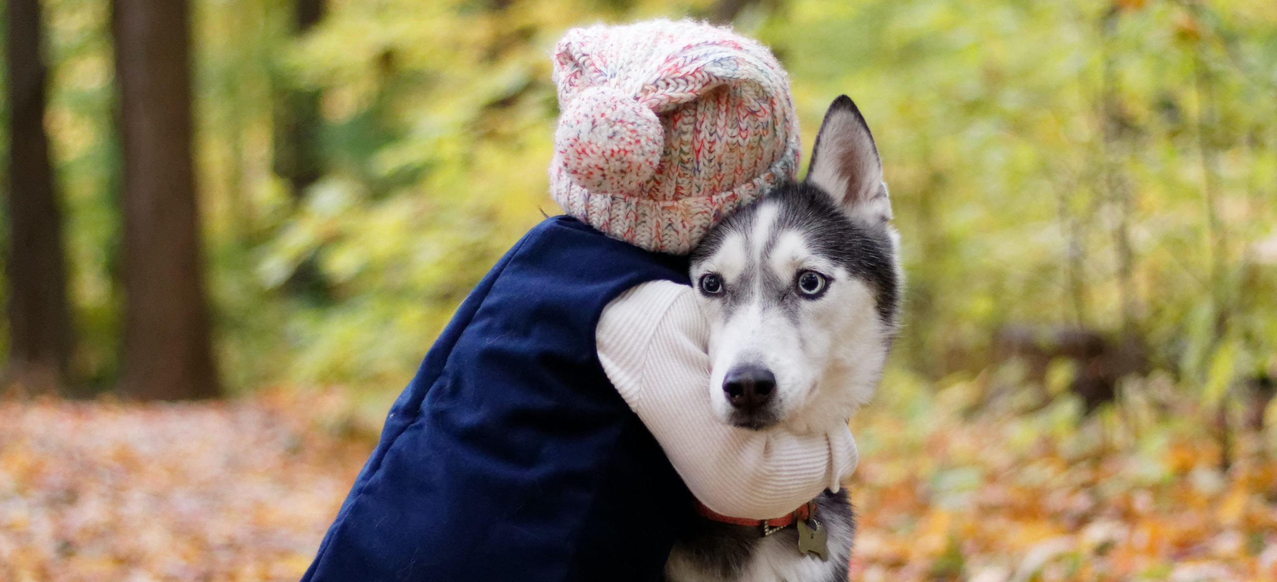 a child wearing a blue vest and knit hat hugging a gray and white husky