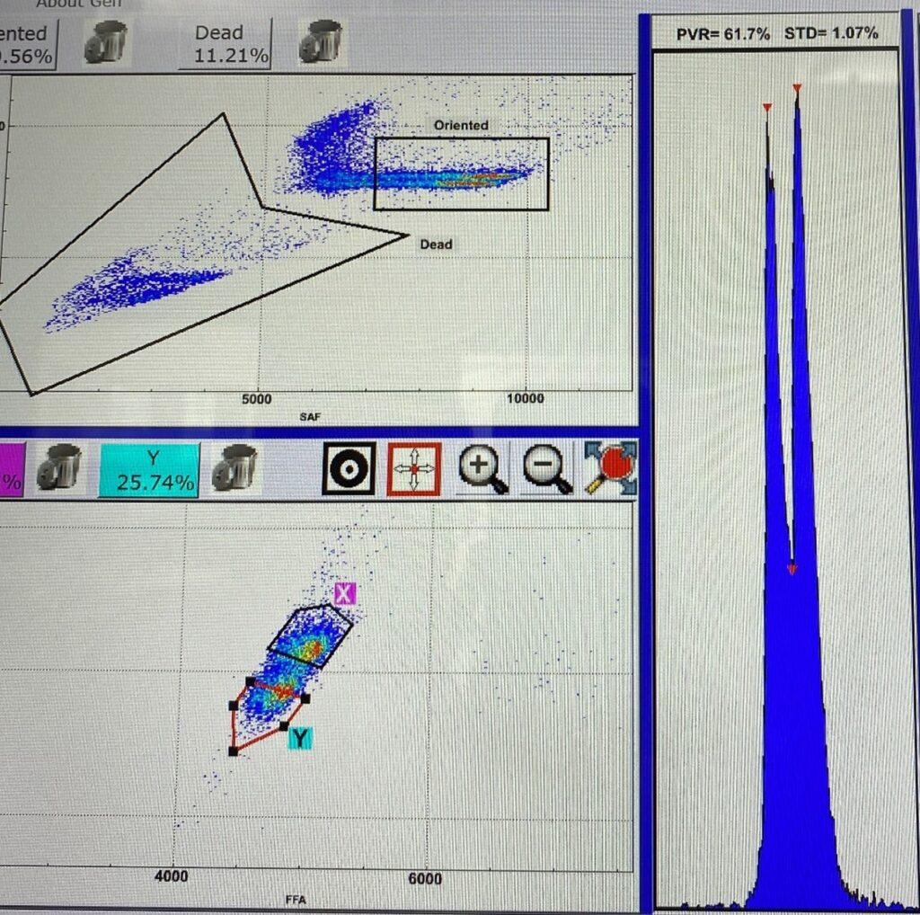Flow cytometry output showing separation of canine sperm into X and Y-chromosome bearing populations.