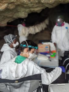 Anna Fagre gets set up to take blood samples from bats in Chekwobutoi cave, Uganda. Also pictured: Lillian Nalukenge from Makerere University and Teddy Nakayiki from Uganda Virus Research Institute. May 2021.